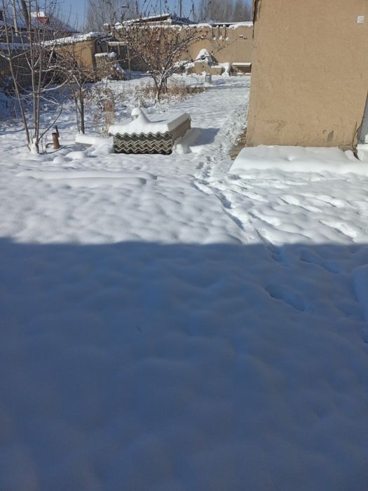 Ховли сотилади 7 сутик