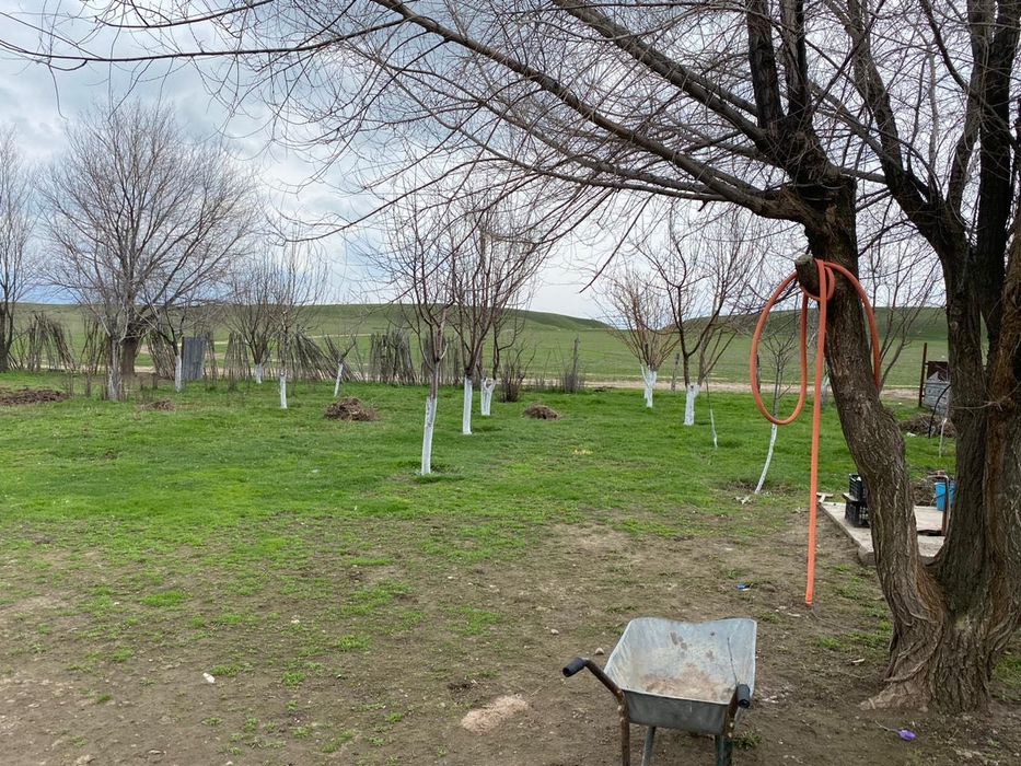 Крестьянское (фермерское) хозяйство