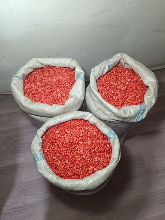 Семена кукурузы