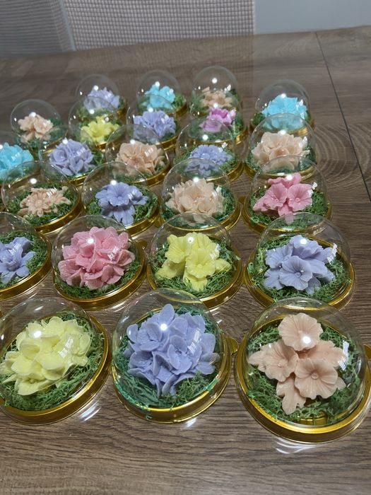 Сапунено цвете в купол