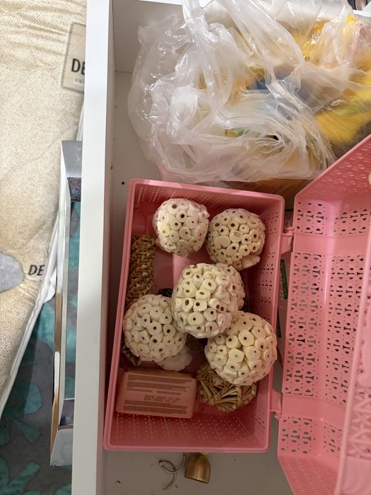 Попугаи Корелла и Волнистик