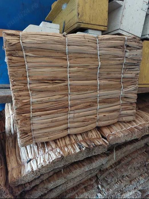 Stupi, rame, lazi, saltelute, colectoare polen