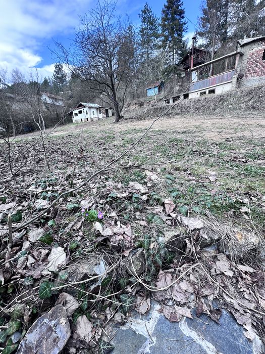 Продава се Парцел в с. Реброво, Област София-област - 1500 кв.м за 12 €/кв.м - Снимка #3