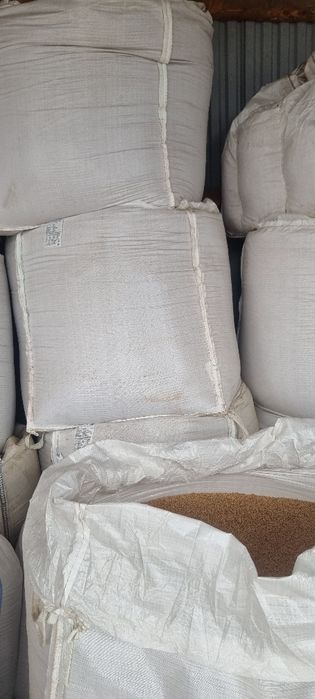 Vand porumb grau triticale cartofi