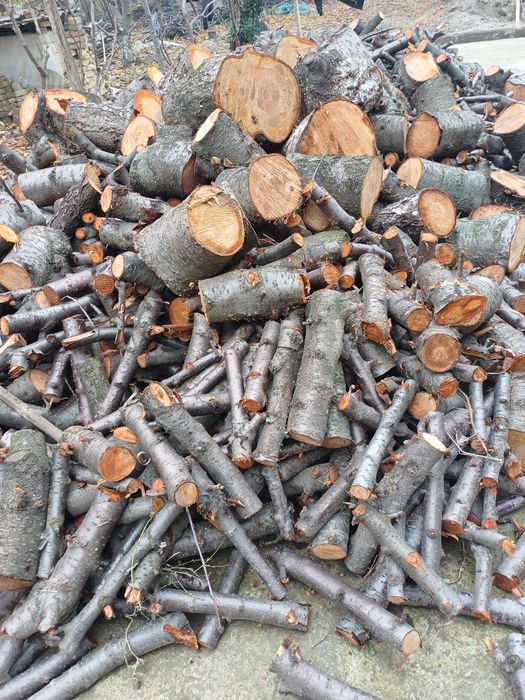 Qoʻqon gilos  oʻtin sotiladi