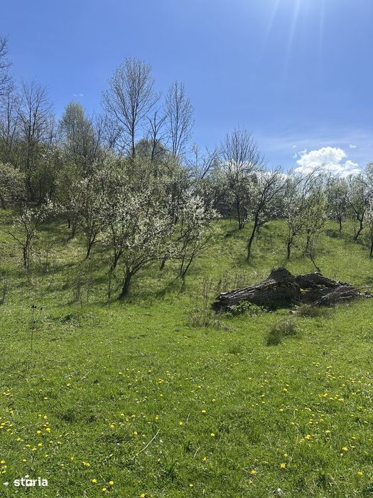 Provița de Jos - teren intravilan 2035mp - 13 Euro/mp