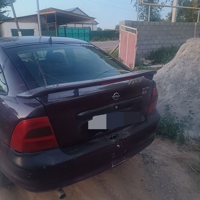 Опил виктра 1998 жылғы