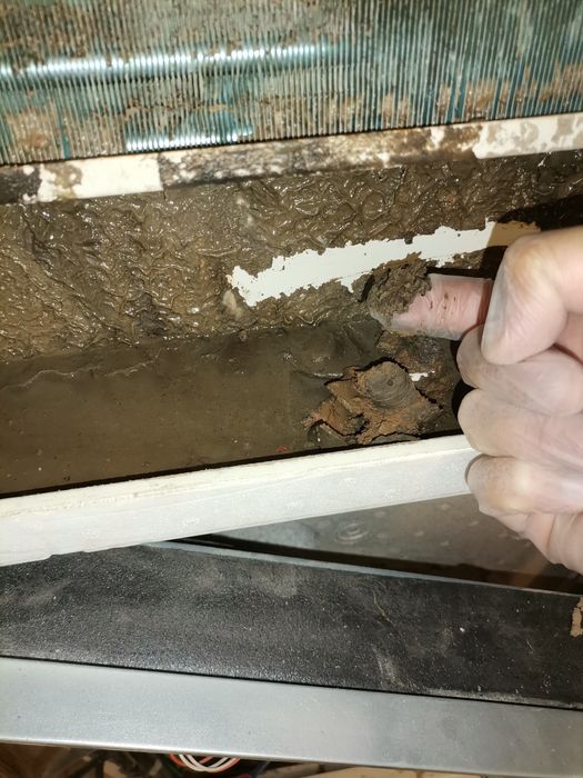 Професионално почистване/Professional cleaning