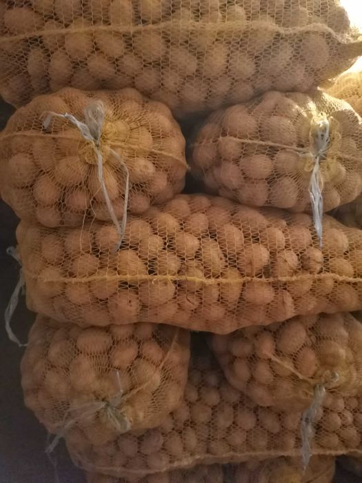 Картоф за семе и консумация (Сорая)