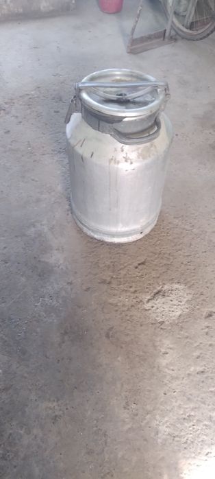 Vilak sotilade 35 letr xolade yaxshe yog'neke  300000 so'm  keleshtere