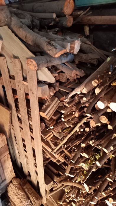 Дрова  разные. Цена договорная