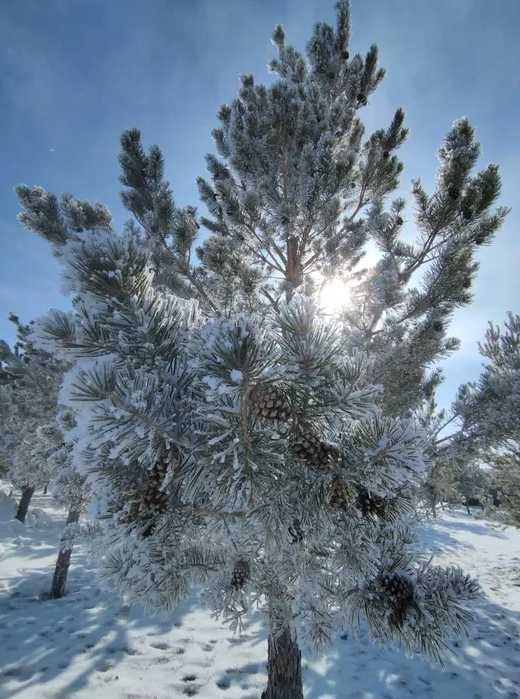 Гостевой комплекс