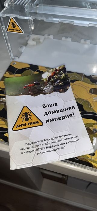 Муравьиная ферма (цвета хаки)