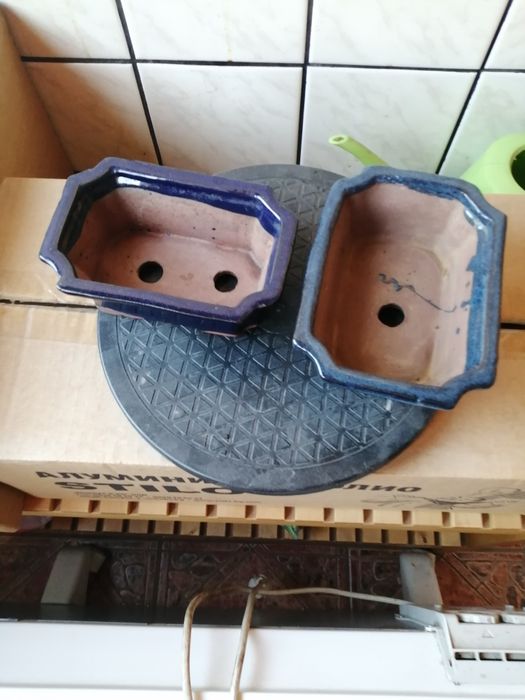 Бонсай саксии-среден и малък размер