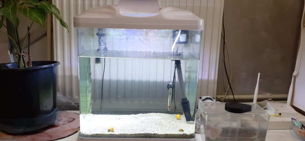 Acvariu in stare buna