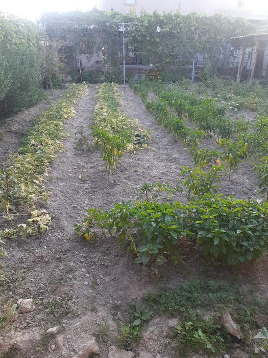 Двухэтажный коттедж