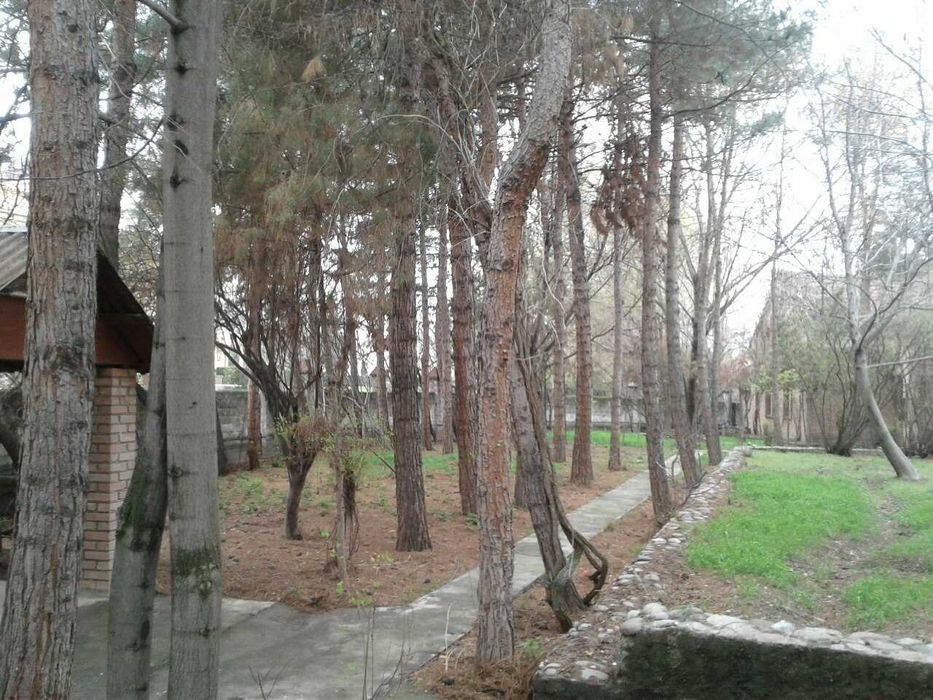 Предлагаем на продажу дачный участок более 50 соток в Тузеле.