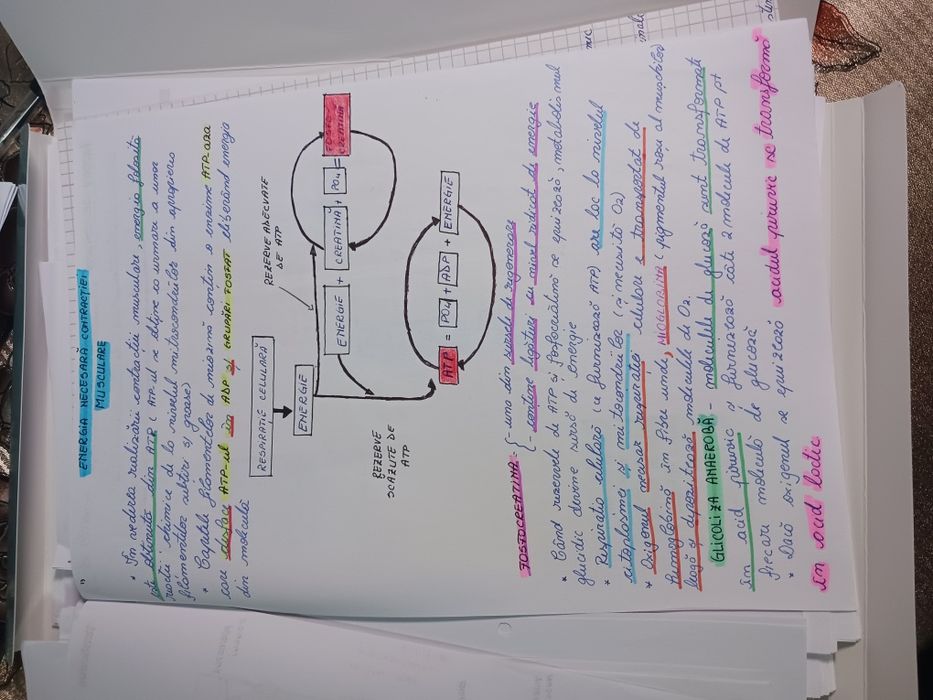 Vând notițe  admitere Medicină din Barrons +Netter pdf la 50 de lei .
