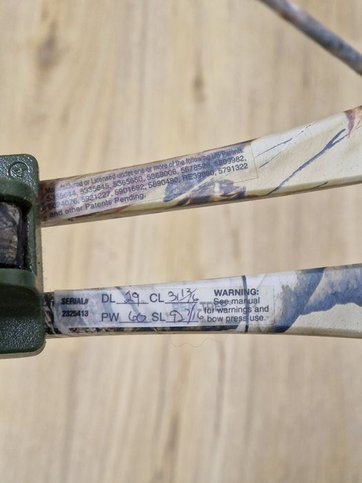 Arc Compound Bear Encounter