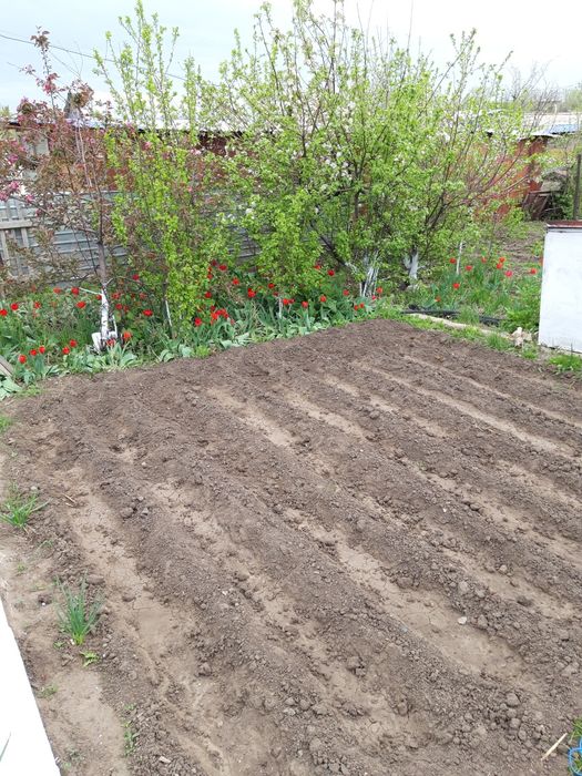 Продам дачу 10 сот