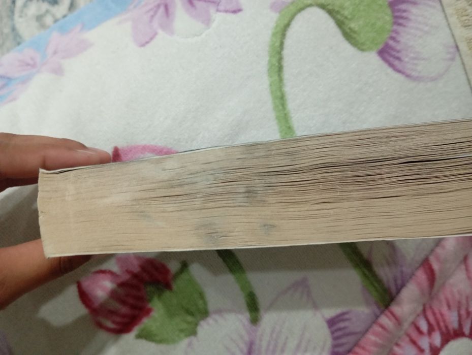 продается Стивен Кинг "Игра Джералда"