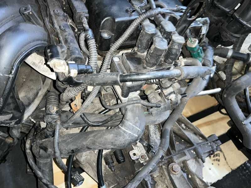 Двигатель Ford Focus 1.6 HWDA