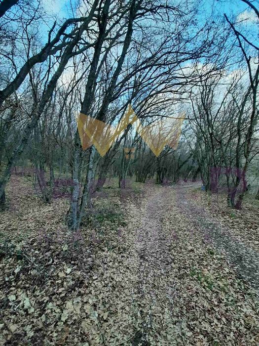 Парцел в Варна, област-к.к.Златни пясъци площ 551 цена 65000