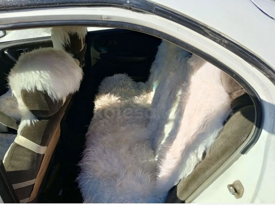 Продам Nissan p10