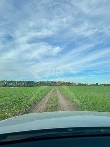 Продава се Парцел в с. Ягодово, Област Пловдив - 4215 кв.м за 11 €/кв.м - Снимка #3