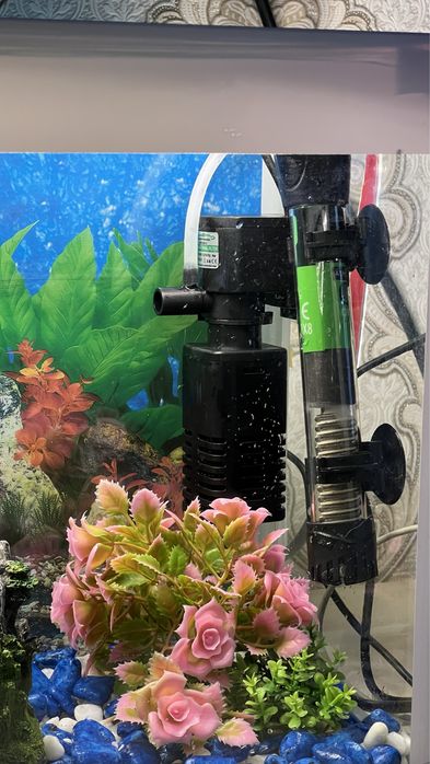 Akvarium srochna sotiladi