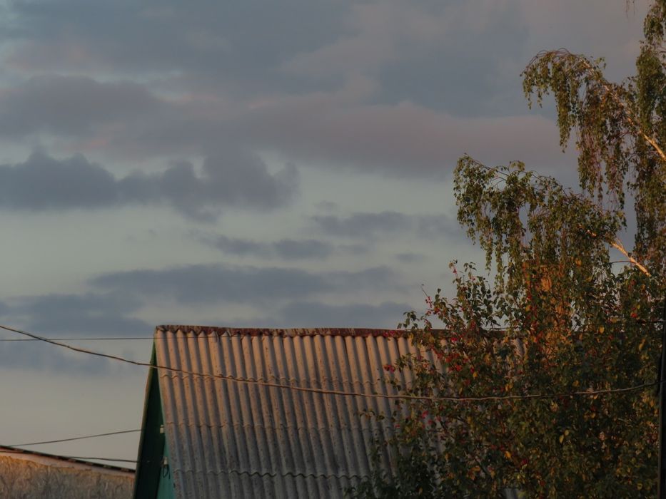 Камера Canon SX740 HS