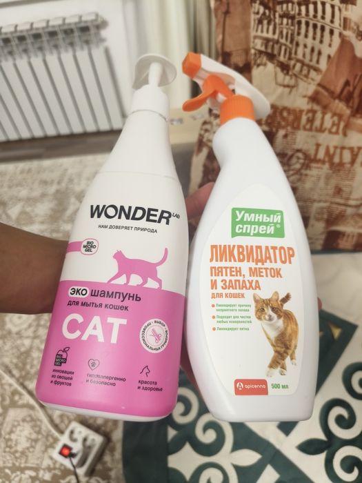 Отдаём котёнка в ответственные руки