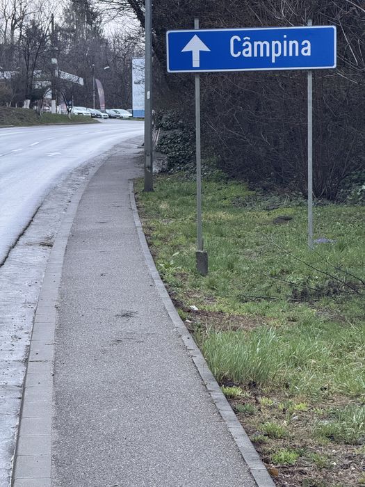Schimb teren in Campina cu autoturism
