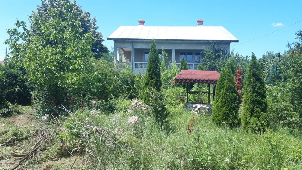 Curatare teren, iarba, ambrozie, maracini, arbusti, imprejmuire