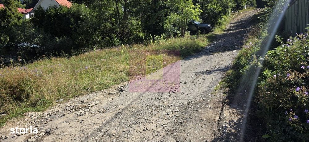 Teren intravilan 288 mp de vanzare in Busteni
