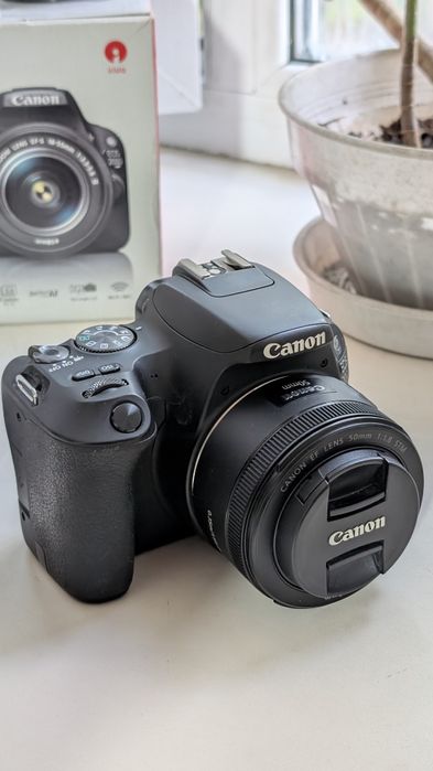 Canon 200d + китовый объектив