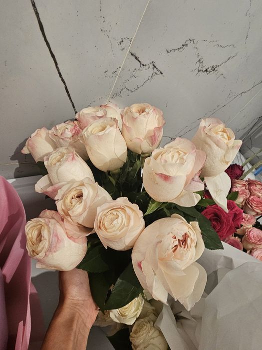 Продам цветы  свежие