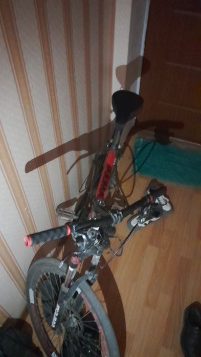 Velik sotiladi kelishiz