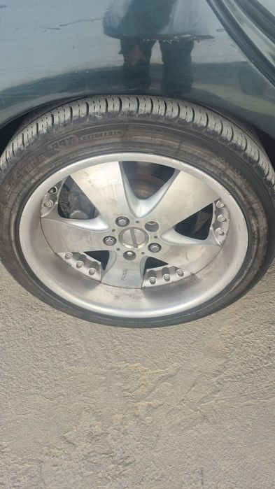 Татанка разнашироки R18