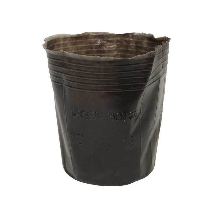 Kalish kochatlar uchun