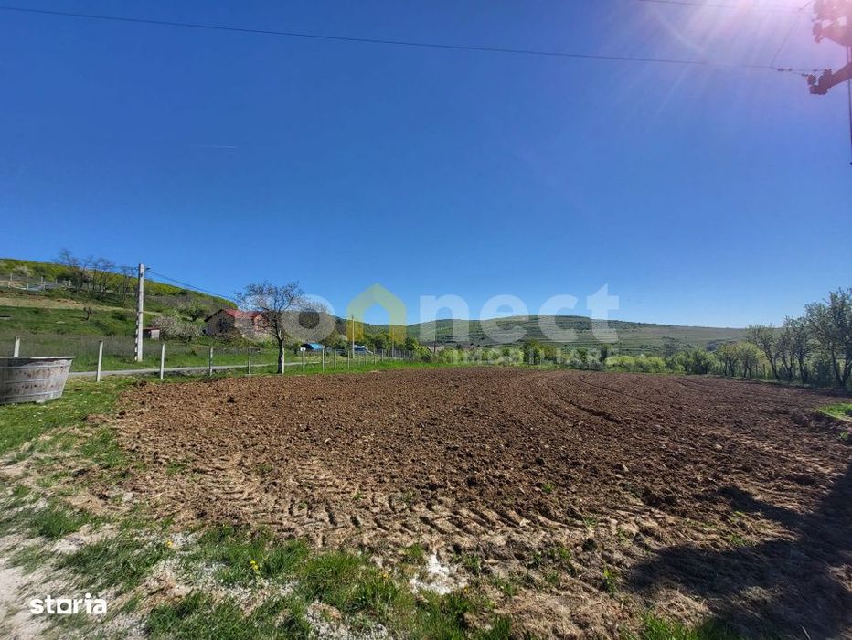 Teren intravilan de vanzare | 2942 mp | Ciurila, Cluj