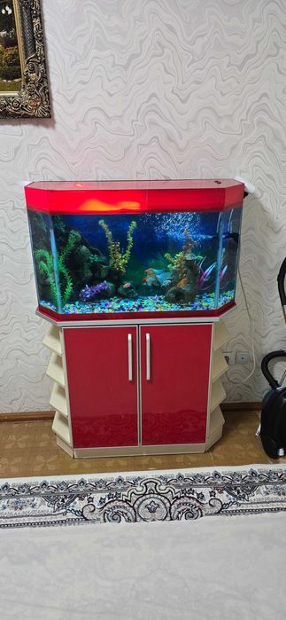 Аквариум 240 литр с тумбой+рыбой +доставка