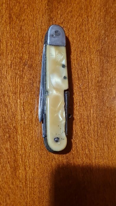 Briceaguri vechi comunism, Solingen