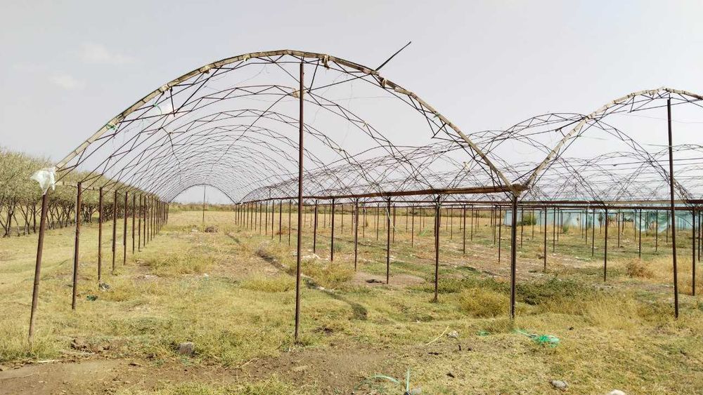 Issiqxona bino-inshoati