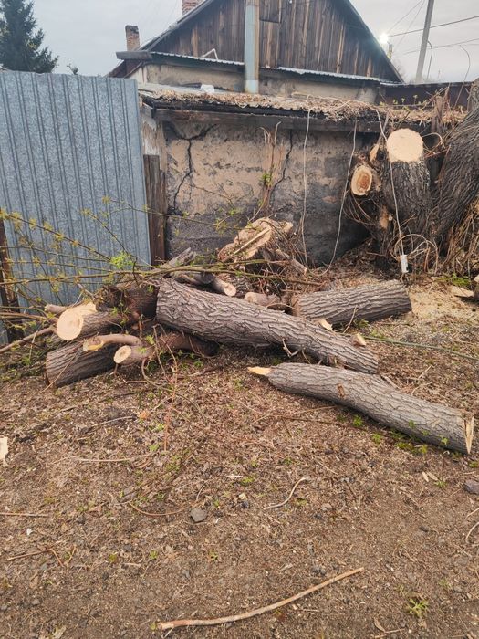 Дрова бесплатно самовывоз