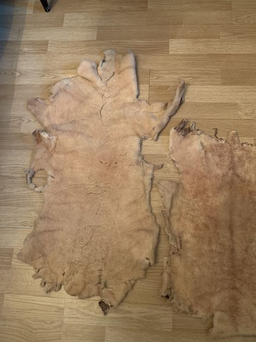 Мех цигейка натур