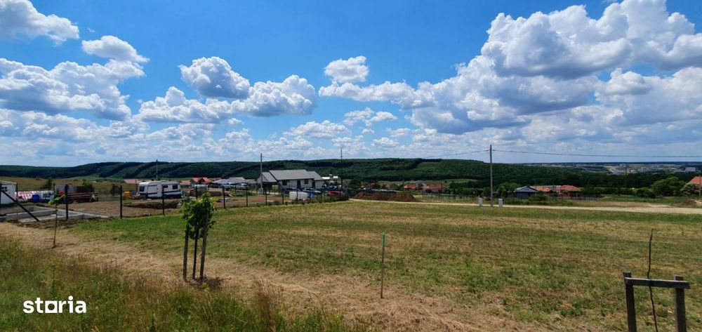 Teren Panoramic In Betfia | 700 Mp | Puz Aprobat | Langa Padure