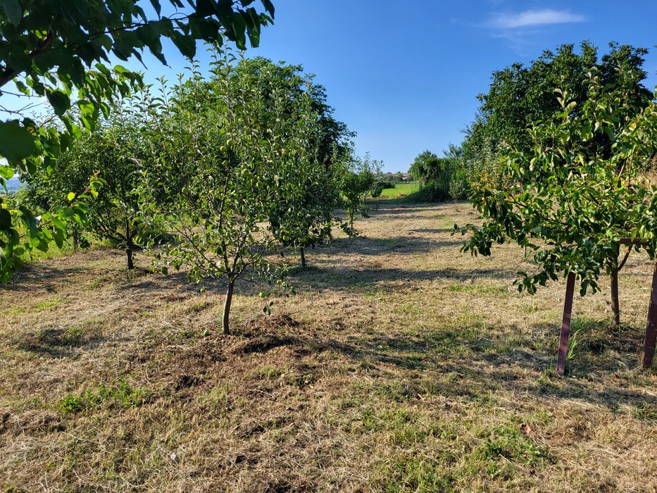 Vând casă lângă Craiova Simnicu de Sus  sat Izvor.