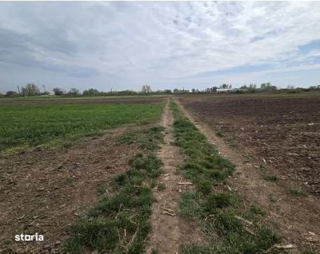 Teren extravilan- Loc. Cheresig, jud. Bihor R3259075