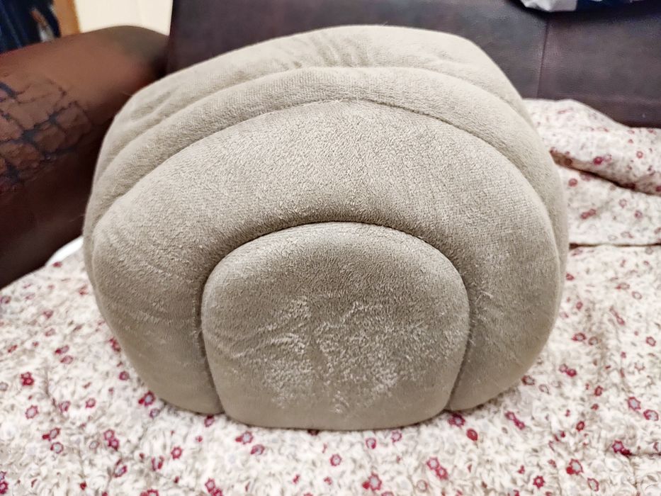 iglu "Pawise" pisici